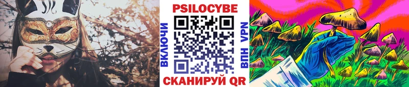 Купить закладки  Кирово-Чепецк  Псилоцибиновые грибы MAGIC MUSHROOMS 